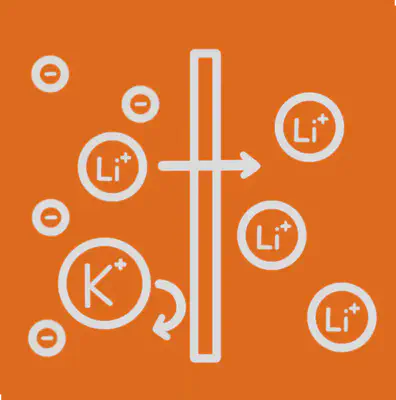 membrane passing lithium ion and blocking potasisum ion