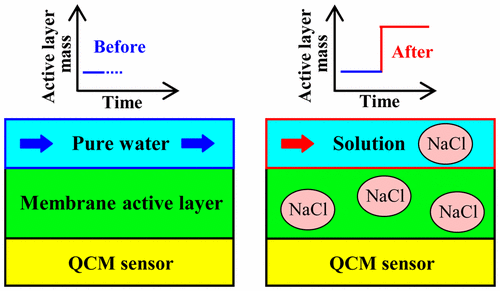 Graphical abstract for Partitioning of Alkali Metal Salts and Boric Acid from Aqueous Phase into the Polyamide Active Layers of Reverse Osmosis Membranes