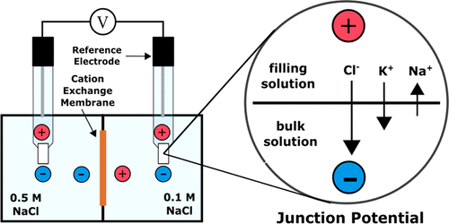 Graphical abstract for Junction potentials bias measurements of ion exchange membrane permselectivity