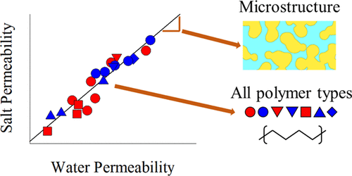 Graphical abstract for Microstructure determines water and salt permeation in commercial ion exchange membranes
