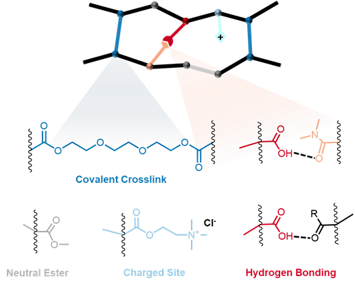 Graphical abstract for Tunable Anion Exchange Membrane Conductivity and Permselectivity via Non-Covalent, Hydrogen Bond Cross-Linking