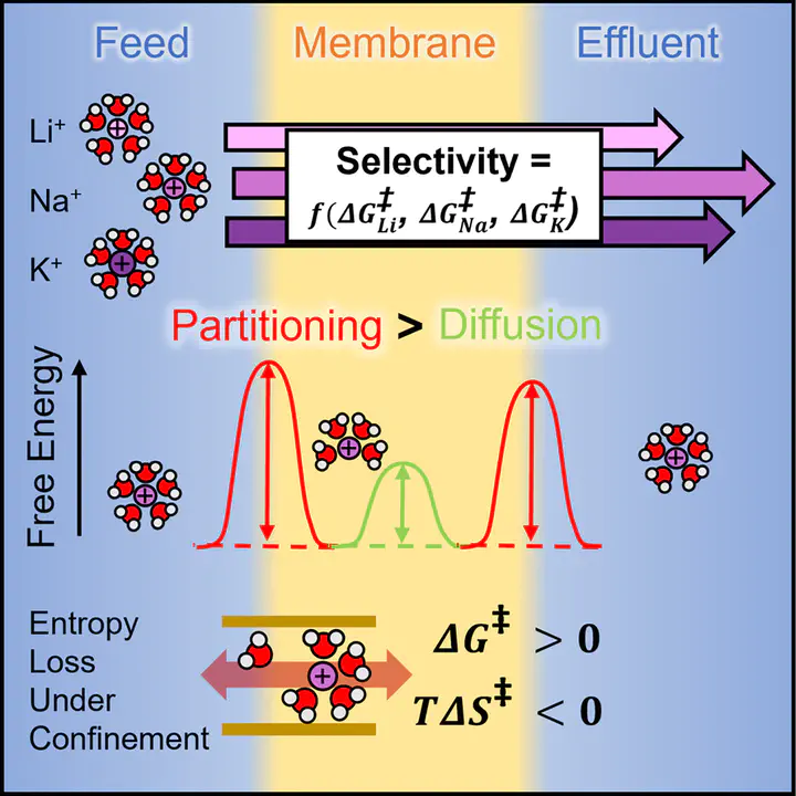 Graphical abstract for Kinetic barrier networks reveal rate limitations in ion-selective membranes