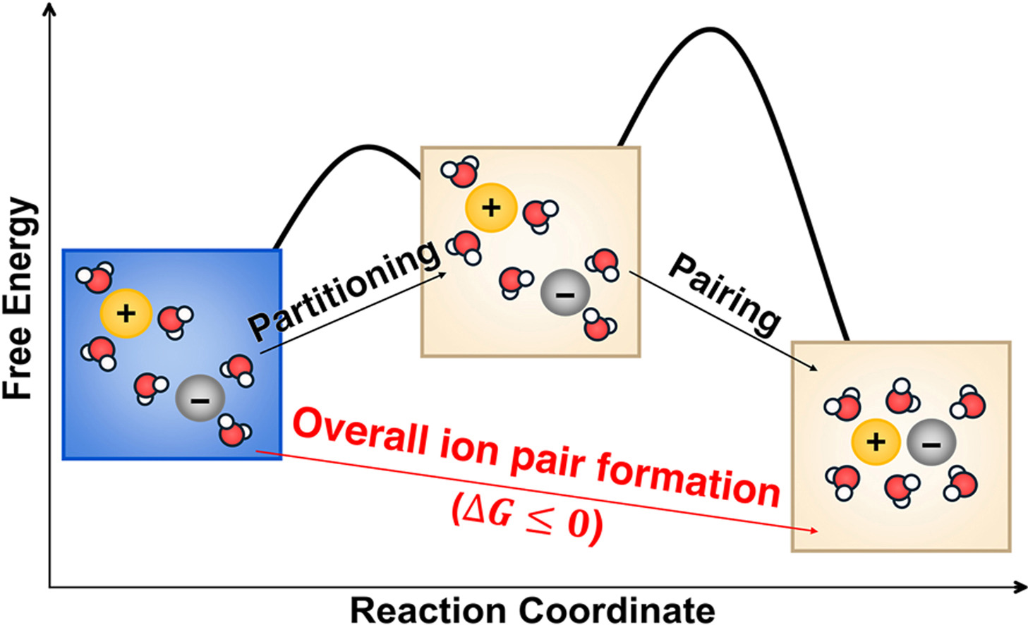 Graphical abstract for First-principles thermodynamic analysis of ion pair formation in hydrated membranes