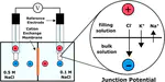 Junction potentials bias measurements of ion exchange membrane permselectivity