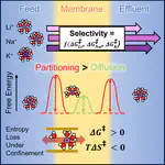 Kinetic barrier networks reveal rate limitations in ion-selective membranes