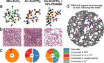 Tuning the Solvation Structure in Aqueous Zinc Batteries to Maximize Zn-Ion Intercalation and Optimize Dendrite-Free Zinc Plating