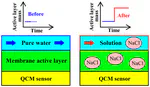 Partitioning of Alkali Metal Salts and Boric Acid from Aqueous Phase into the Polyamide Active Layers of Reverse Osmosis Membranes